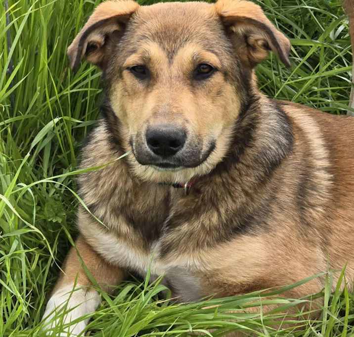 Photo of Bandit