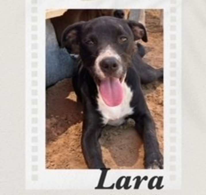 Photo of Lara