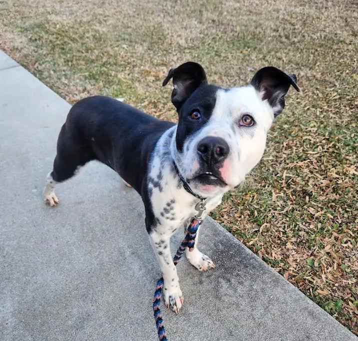 Photo of Benny