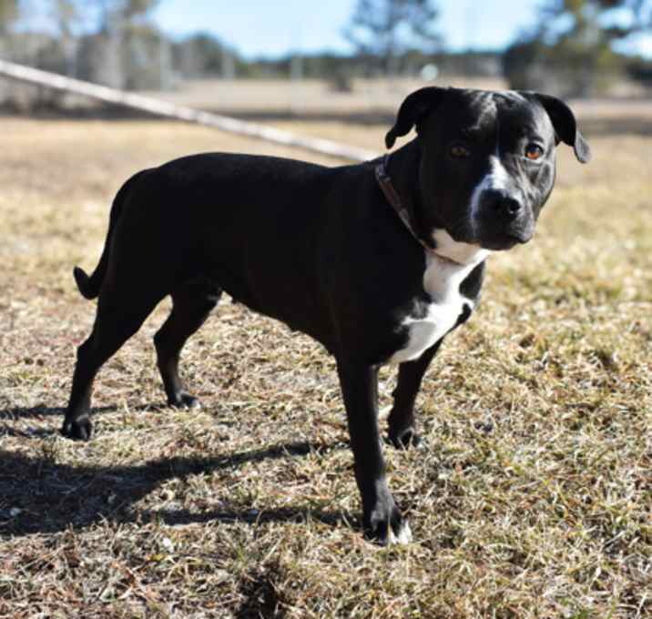 Photo of Kira