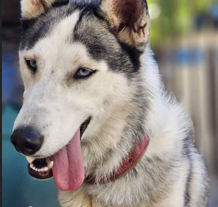 Photo of Kira
