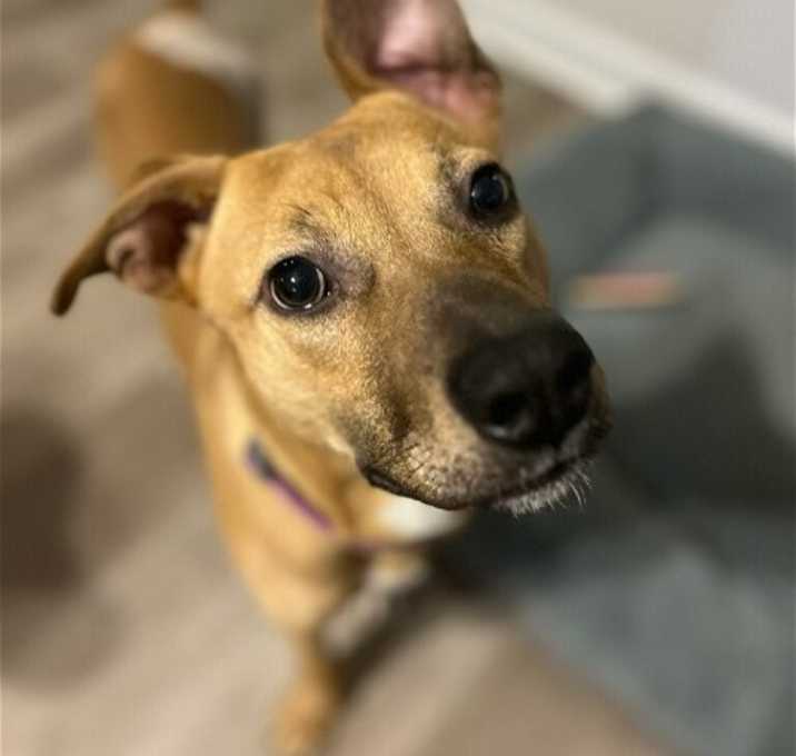 Photo of Mac