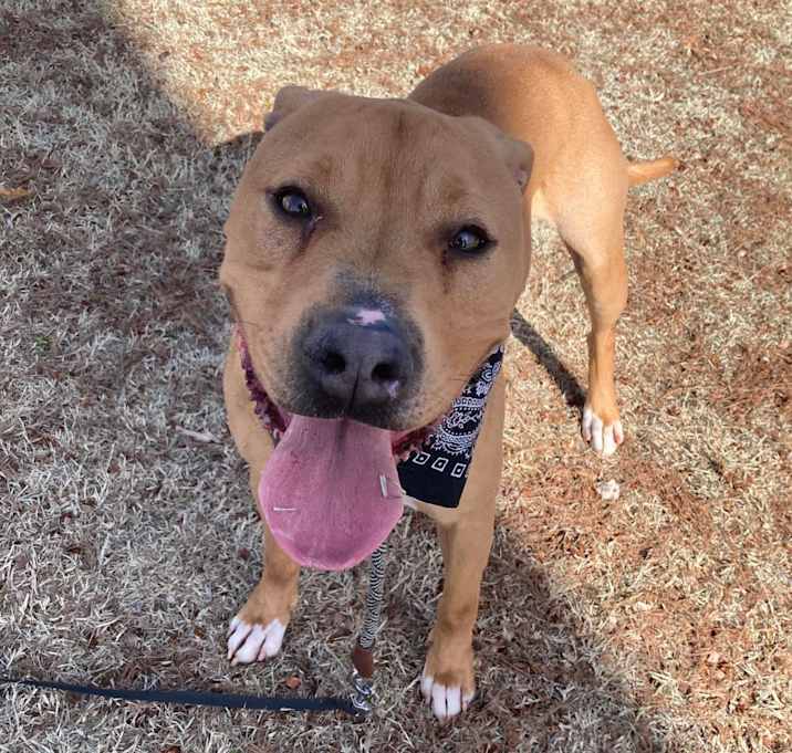 Photo of Tucker