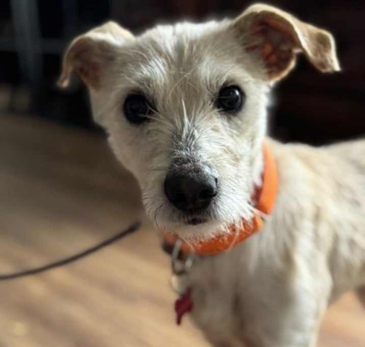 Photo of Frida