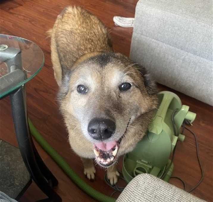 Photo of TANK (BONDED w/RUSTY)(COURTESY POST)