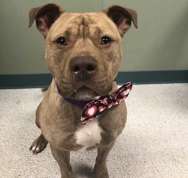 Photo of Ruger