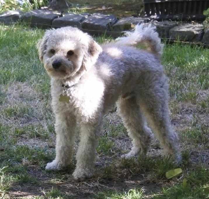Photo of Charlie (two)