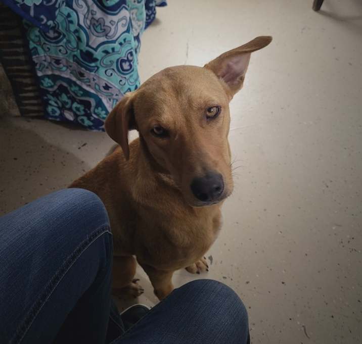 Photo of Maggie