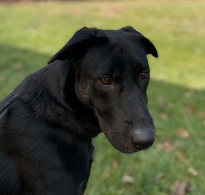 Photo of Molly