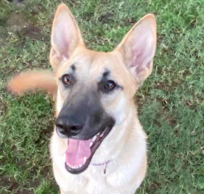 Photo of Leia