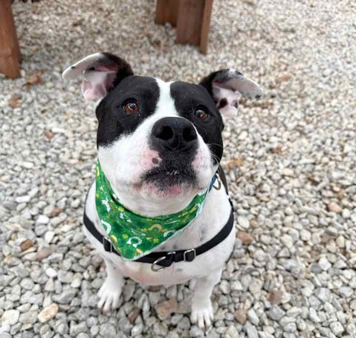 Photo of Kugel