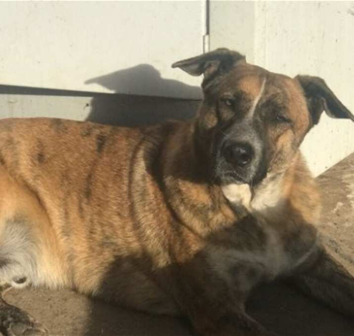 Photo of Waylon