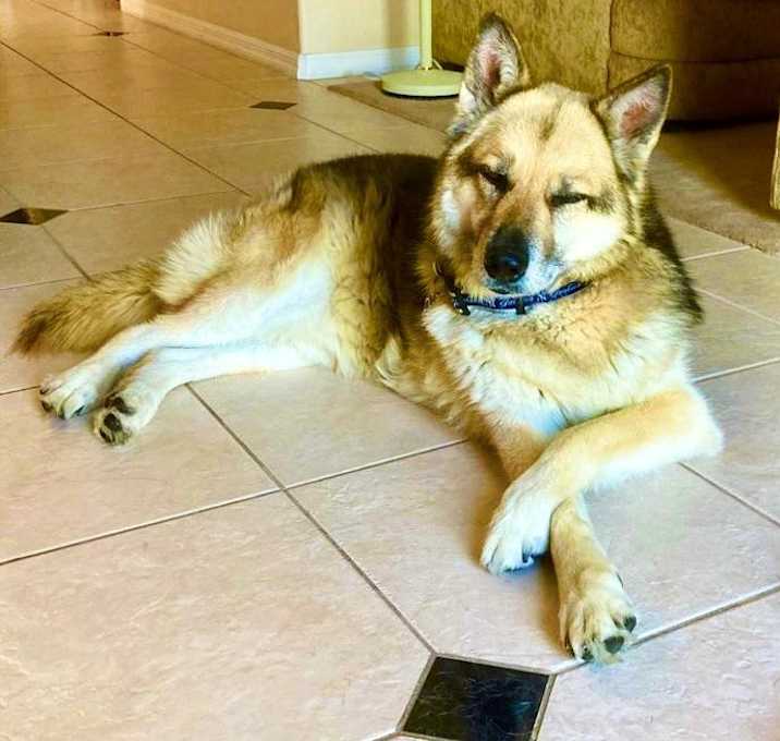 Photo of RALPH