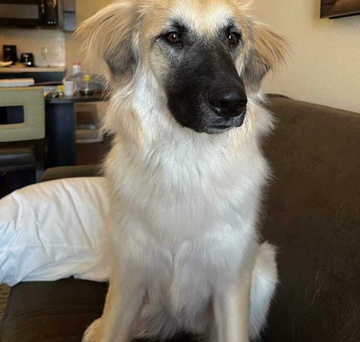 Photo of Riley