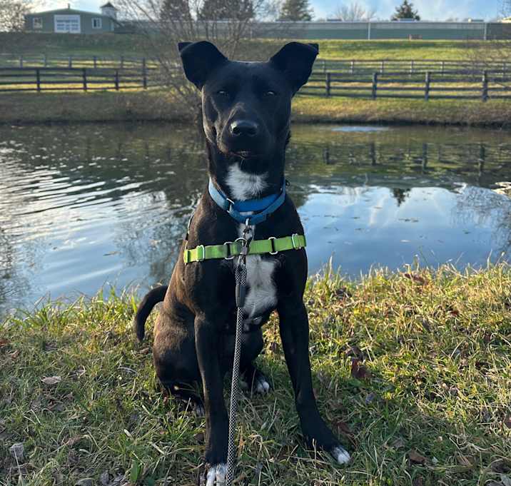 Photo of Roxy