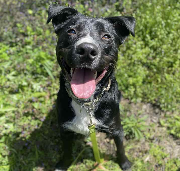 Photo of Jeffrey