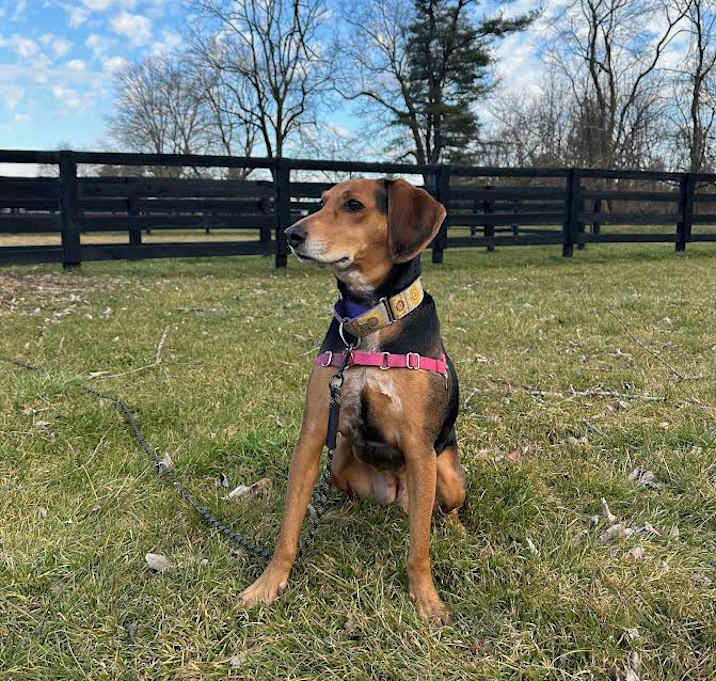 Photo of Emmie