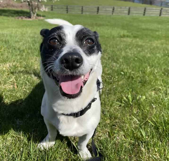 Photo of Hopper