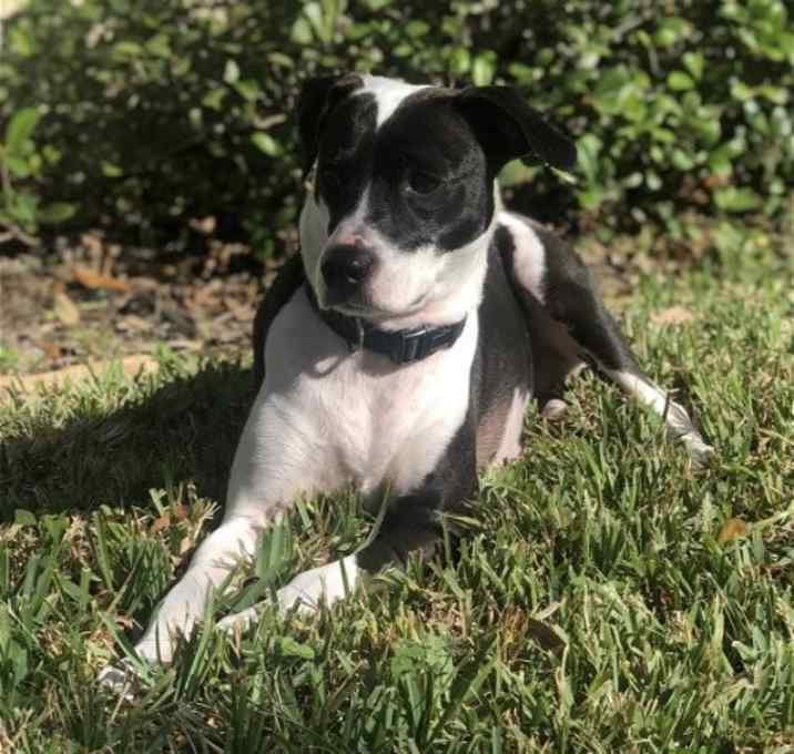 Photo of Khloe