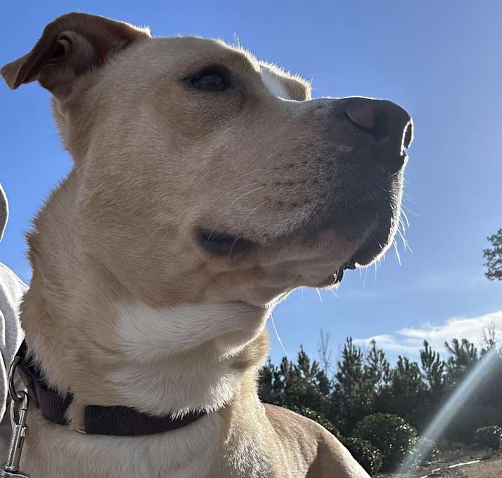 Photo of Manny