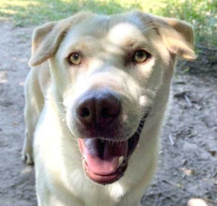 Photo of Lucas
