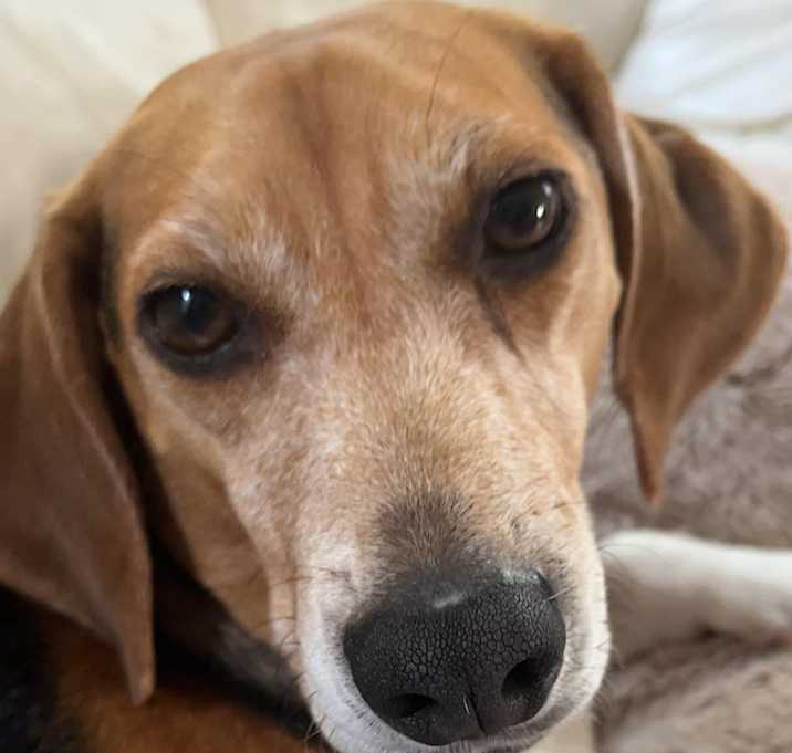 Photo of Bagel