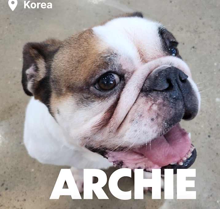 Photo of ARCHIE