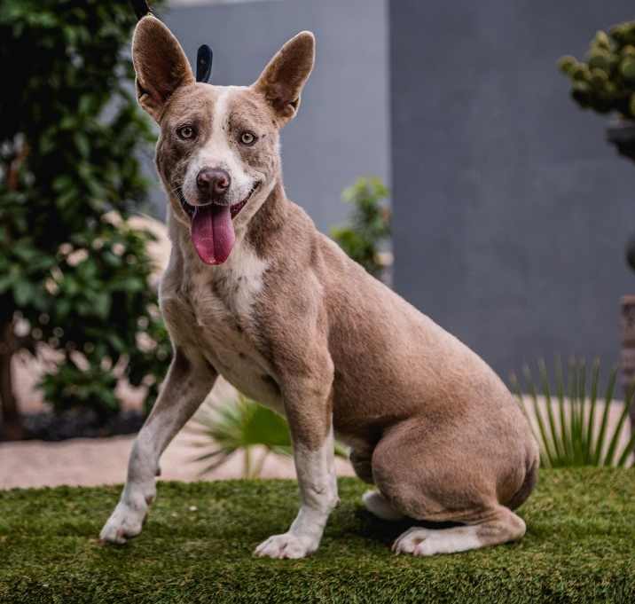 Photo of Zeke