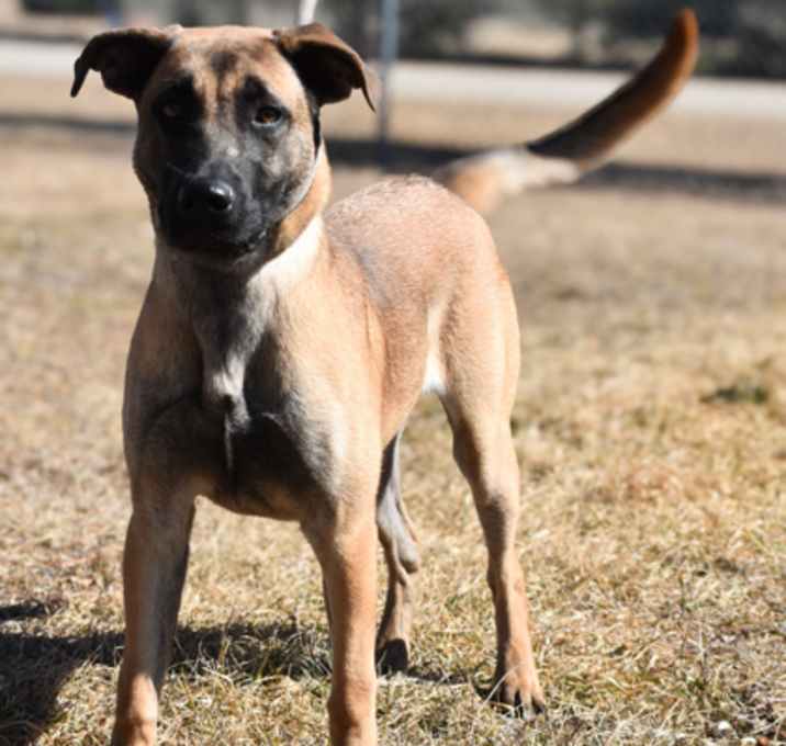 Photo of Savannah