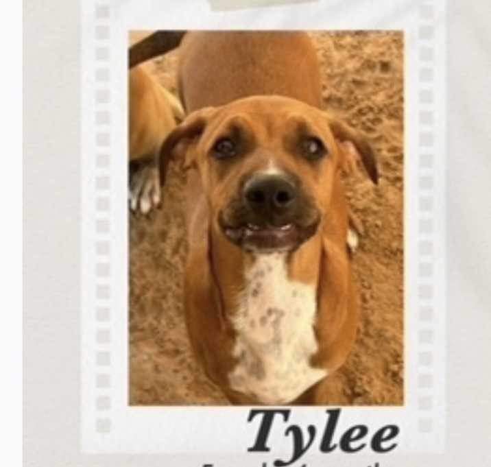 Photo of Tylee