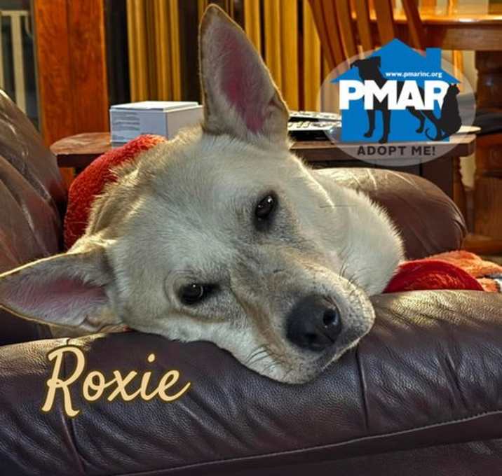 Photo of Roxie