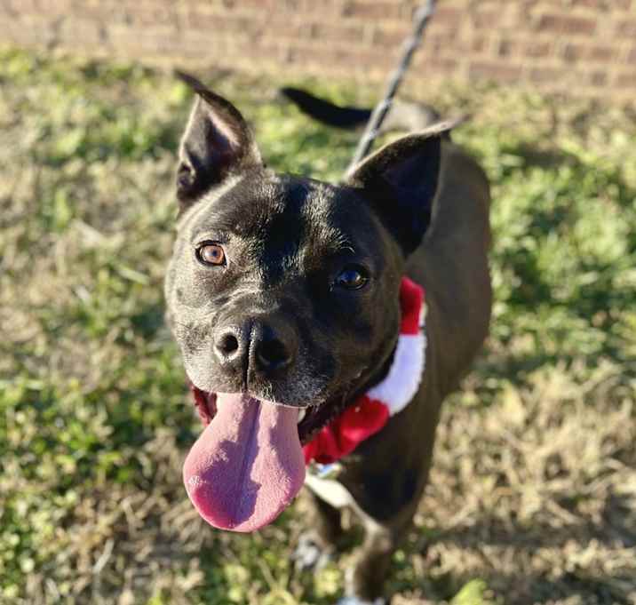 Photo of Morty