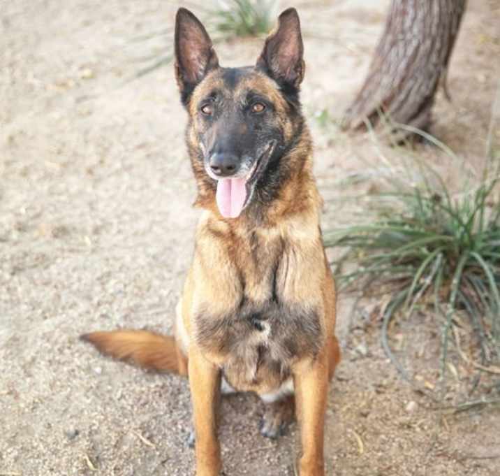 Photo of MONARCH aka Mona