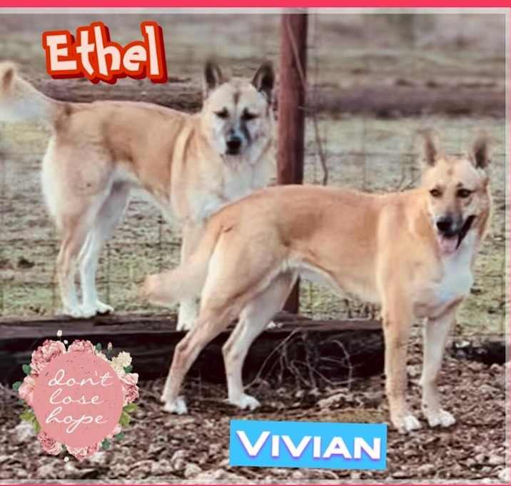 Photo of Ethel and Vivian