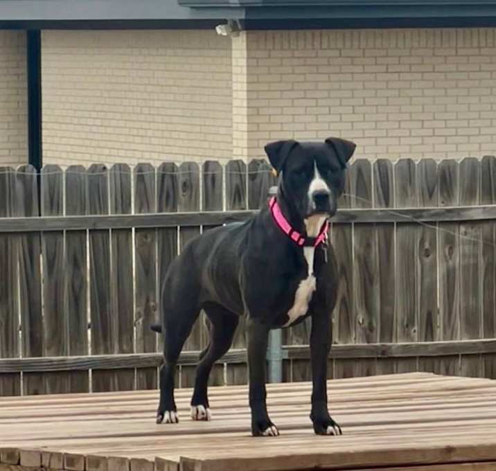 Photo of Amy
