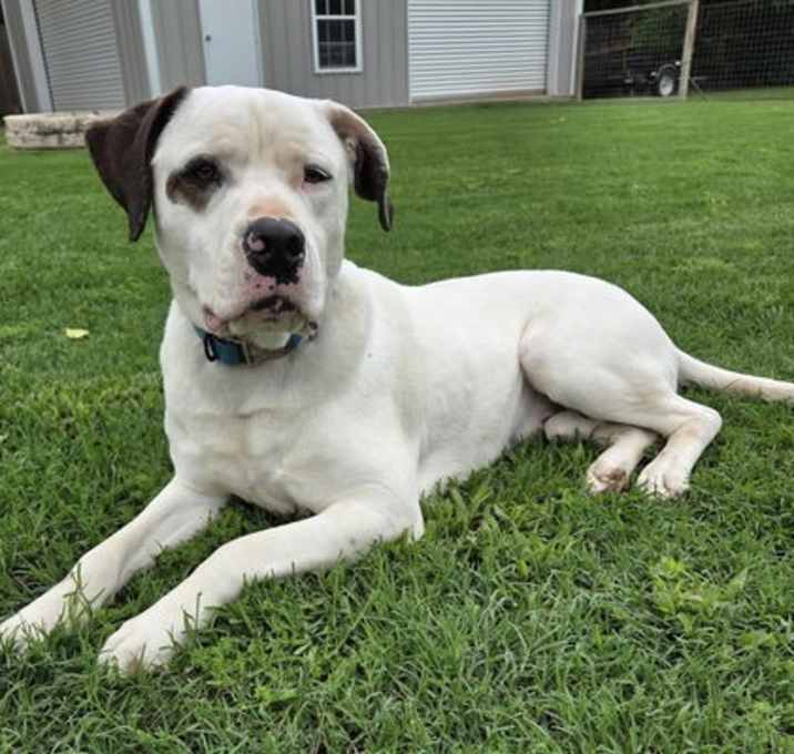 Photo of Gus