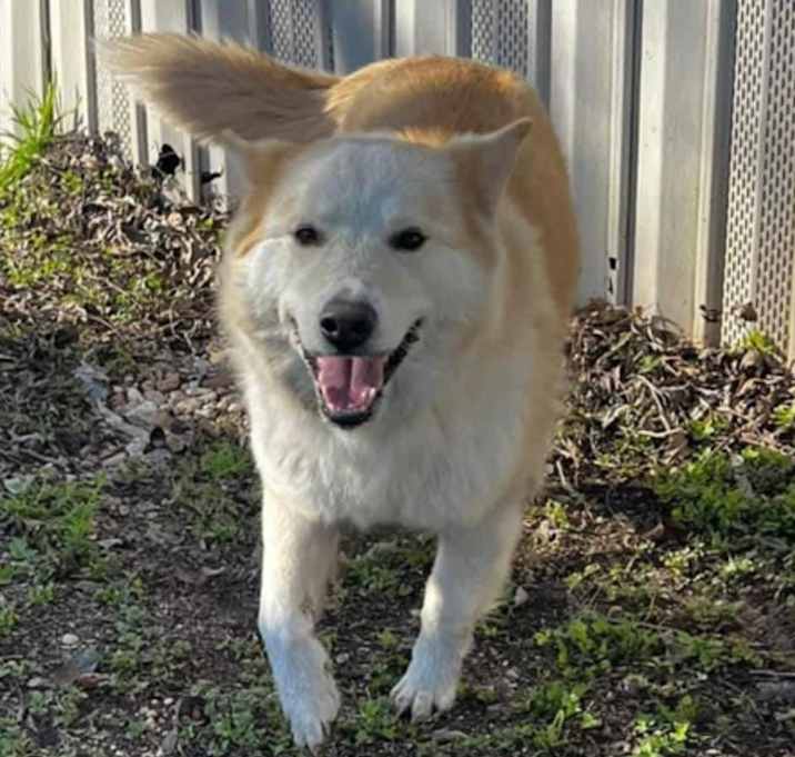 Photo of Luna Judge