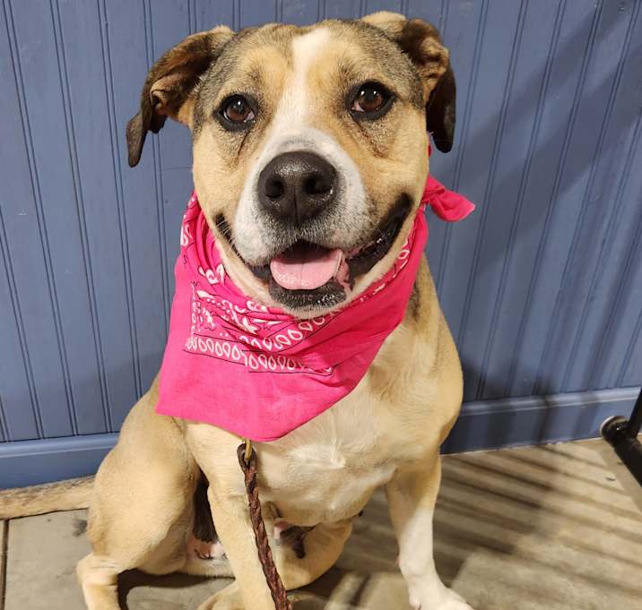 Photo of Jazzy Jasmine