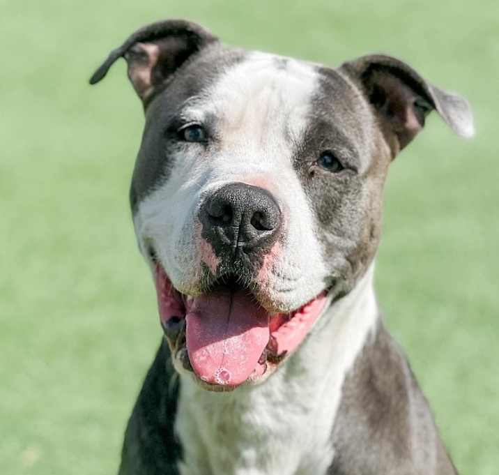 Photo of Turbo