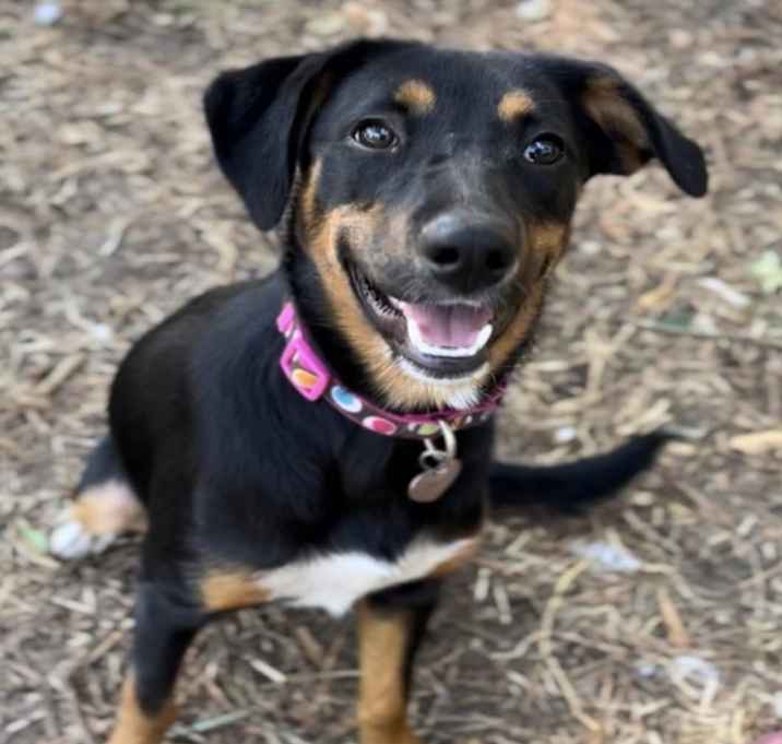 Photo of Tilly