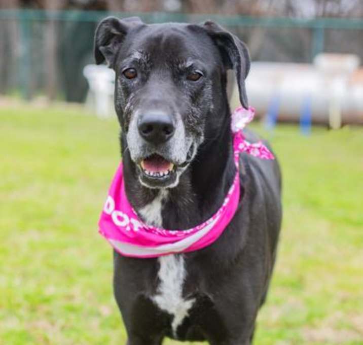 Photo of Lucy