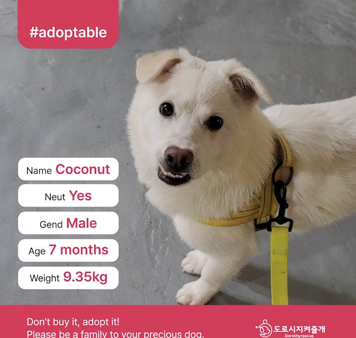 Photo of Coconut(D)