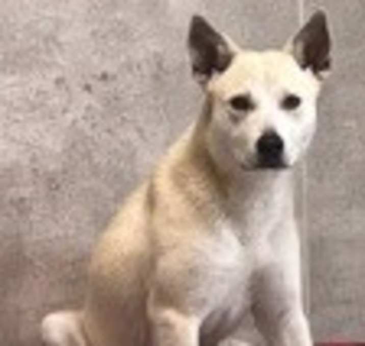 Photo of Aspen