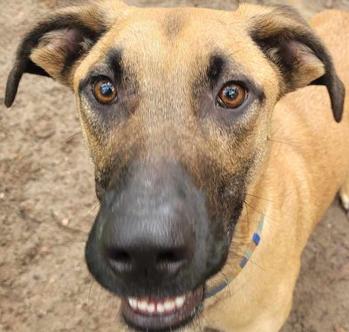 Photo of Buddy