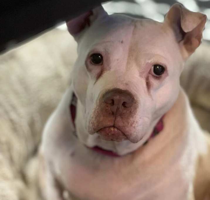 Photo of Alice aka Allie