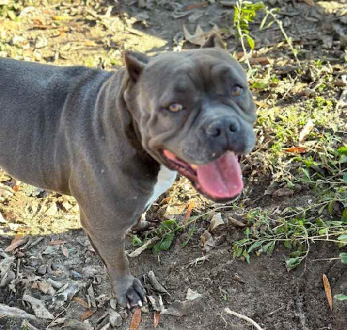 Photo of Storm