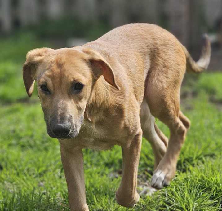 Photo of Arya