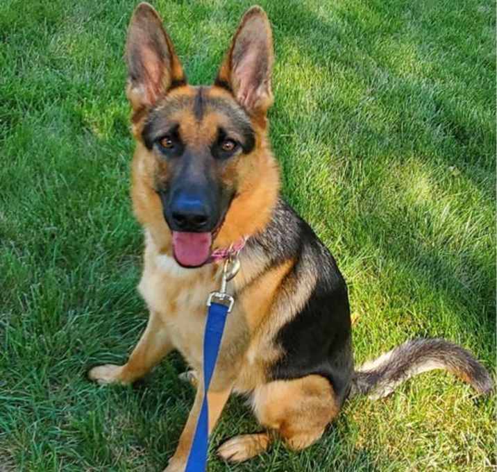 Photo of Armani
