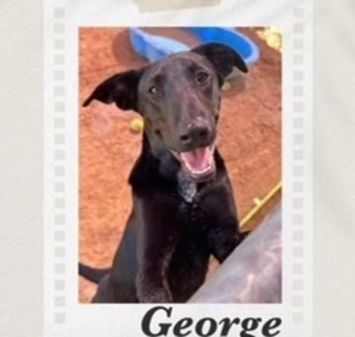 Photo of George