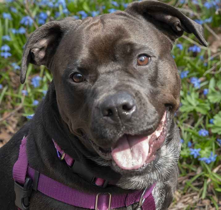 Photo of Lola